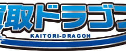 kaitoridragon_logo
