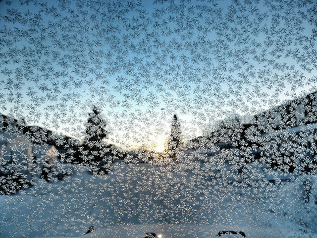 View from my car this morning